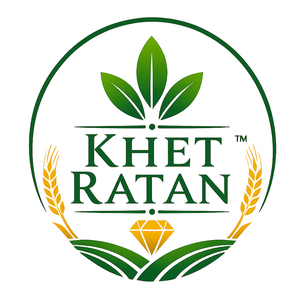 My Store